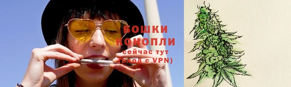 спиды Арсеньев