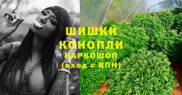 PSILOCYBIN Заволжск
