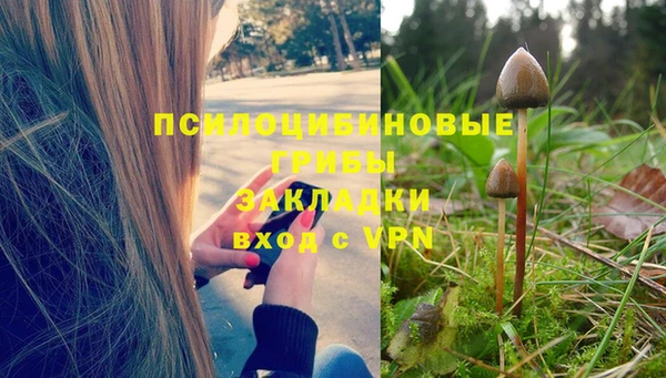 спиды Арсеньев