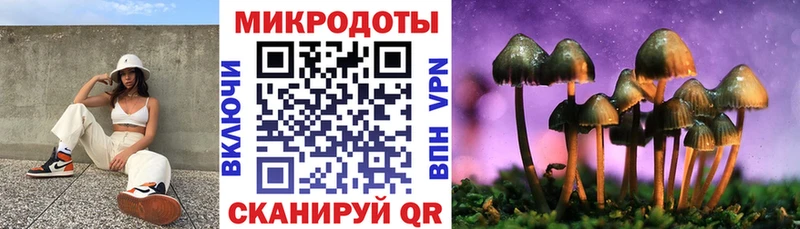 цены   Волгоград  Псилоцибиновые грибы Psilocybe 
