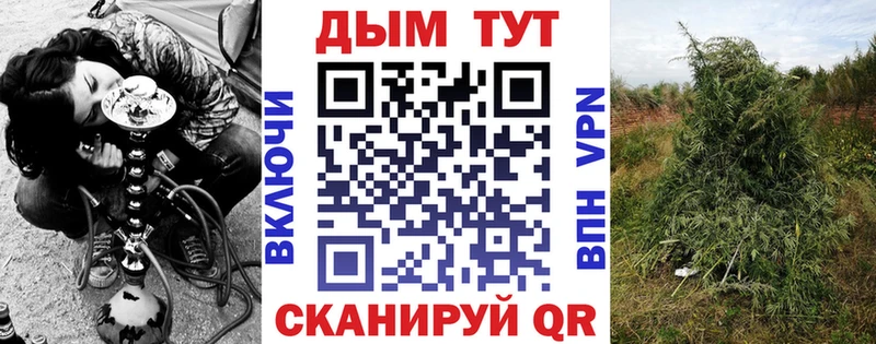 Канабис планчик  купить закладку  KRAKEN tor  Волгоград 